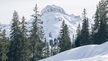 Schneebedeckte Berge mit Tannen im Vordergrund