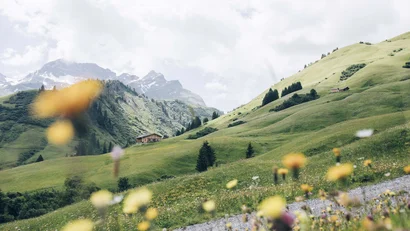 Berglandschaft mit grünen Hängen, Blumenwiese und Holzhütte im Hintergrund