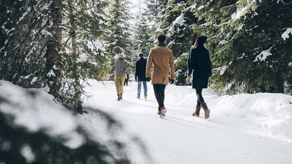 Vier Personen gehen in einem verschneiten Wald auf einem Weg zwischen Tannenbäumen